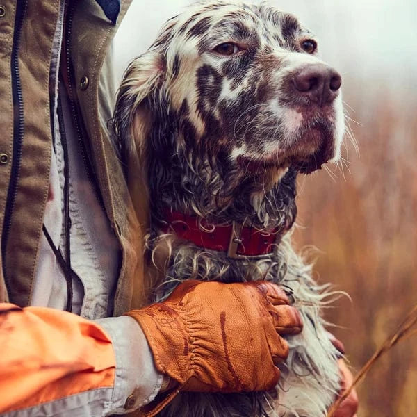 Person wearing an orange glove comforts a wet, long-haired dog wearing a red collar outdoors.