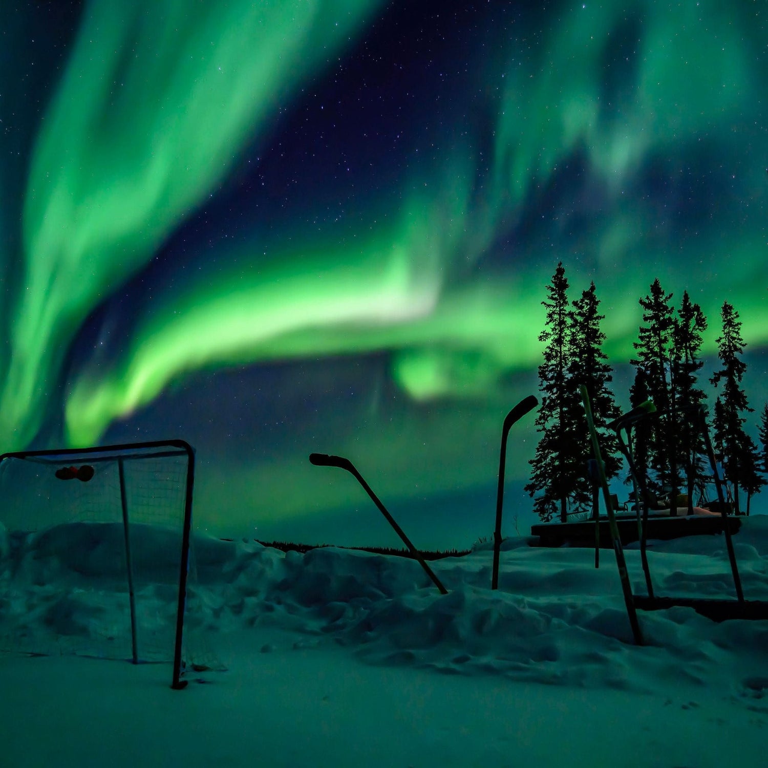 Aurora borealis over a snowy landscape with hockey goals and trees silhouetted against the night sky.