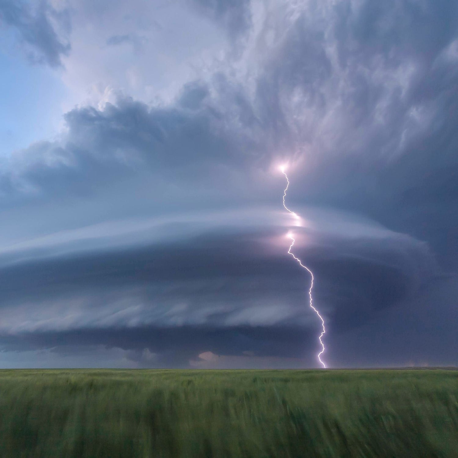 A dramatic lightning bolt strikes beneath swirling, dark storm clouds over a vast green field, highlighting the storms intensity.