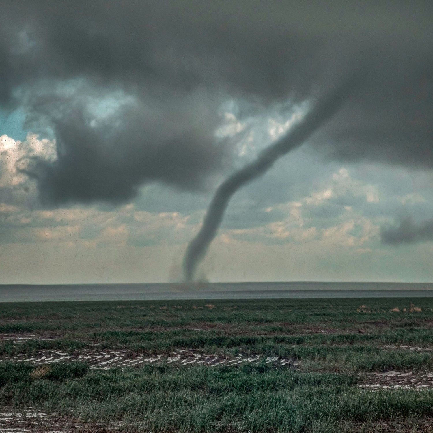 A tornado touches down on a grassy plain under dark, cloudy skies, with a horizon visible in the distance.