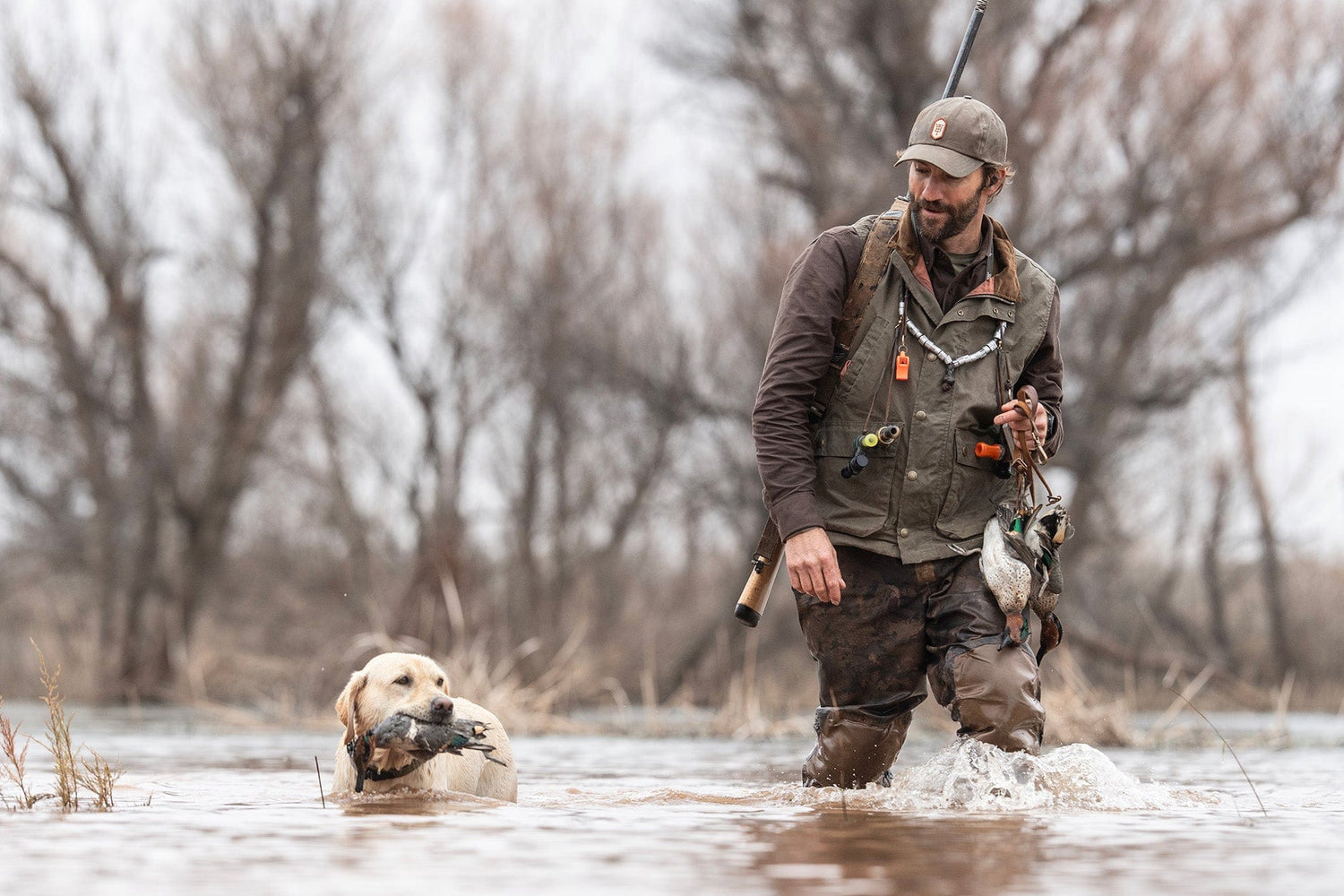 Man in hunting gear walks through shallow water with a dog retrieving a duck in its mouth. Trees in background.