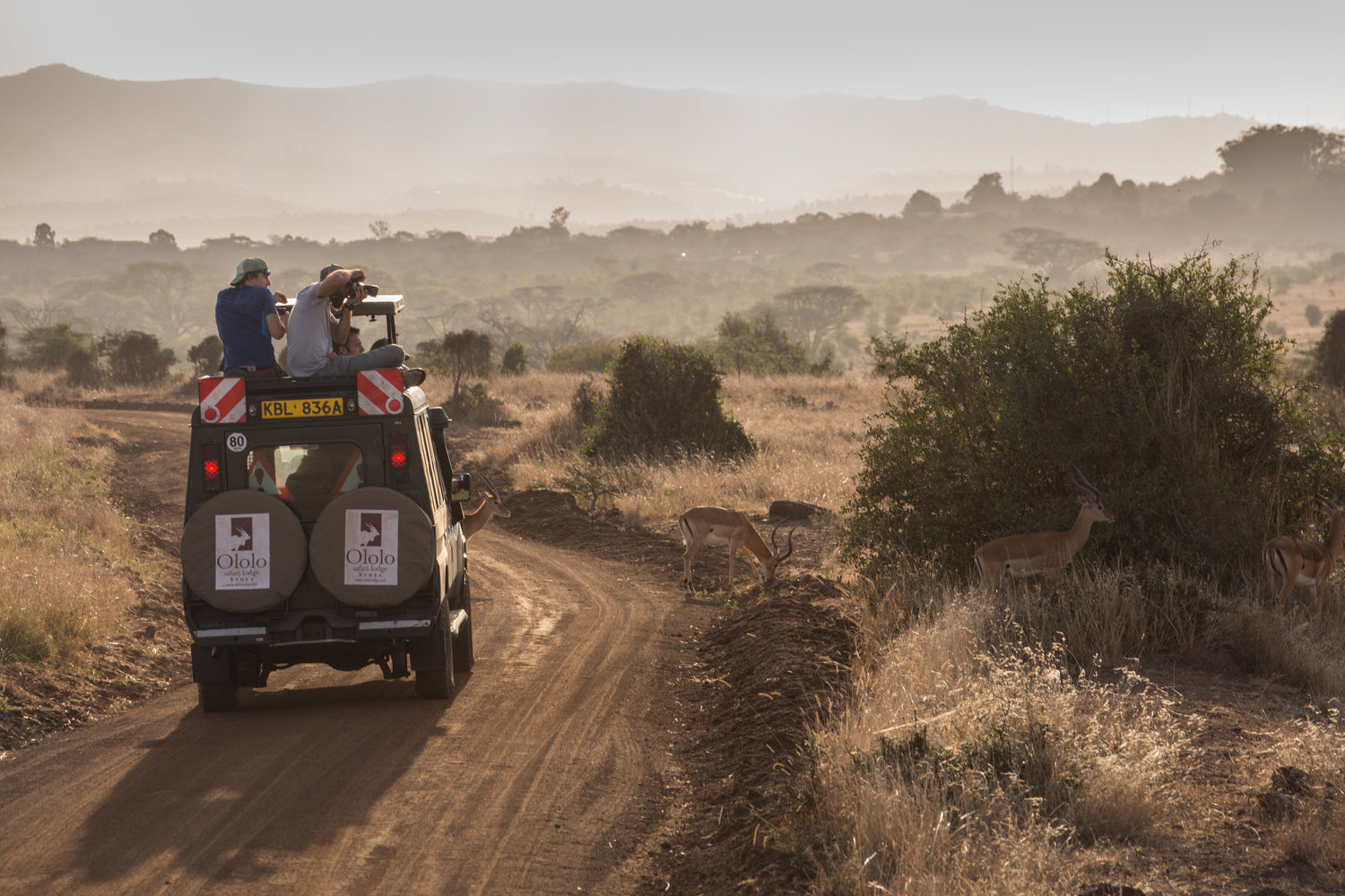 Safari vehicle on a dirt road with two people photographing wildlife; antelopes visible in the grassy landscape under a hazy sky.