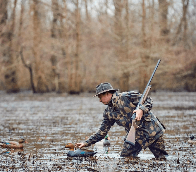 Person in camouflage and hat, holding a shotgun, arranges duck decoys in a swampy area with leafless trees in the background.