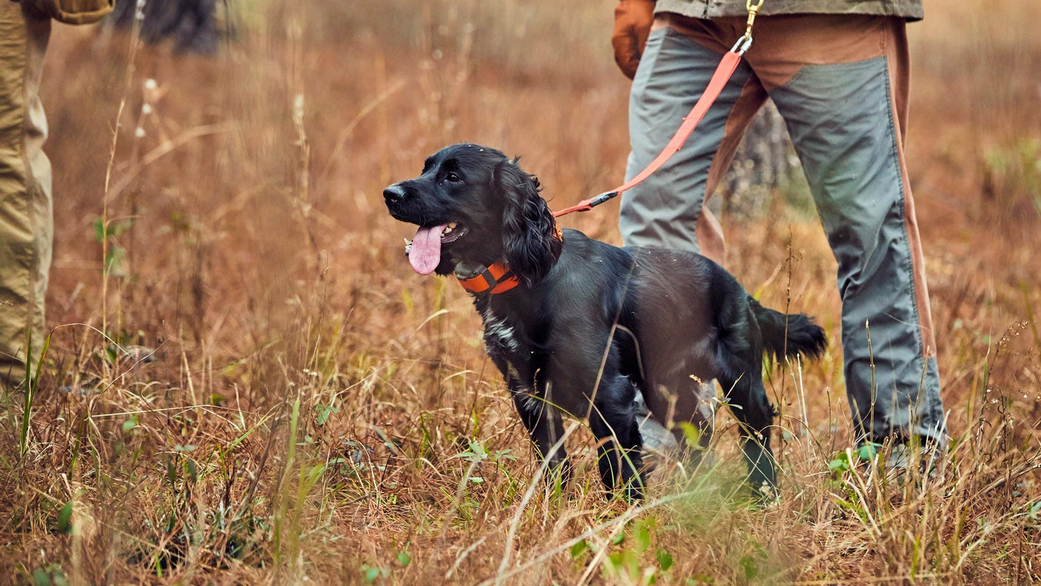 From the Editor in Chief: For Love of the Hunt