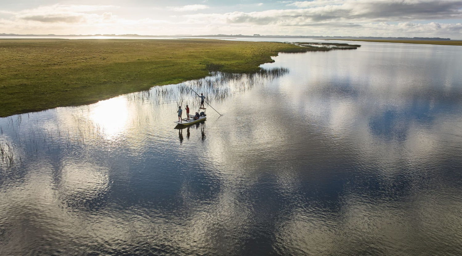 Oh Cool, I’m Not Dying