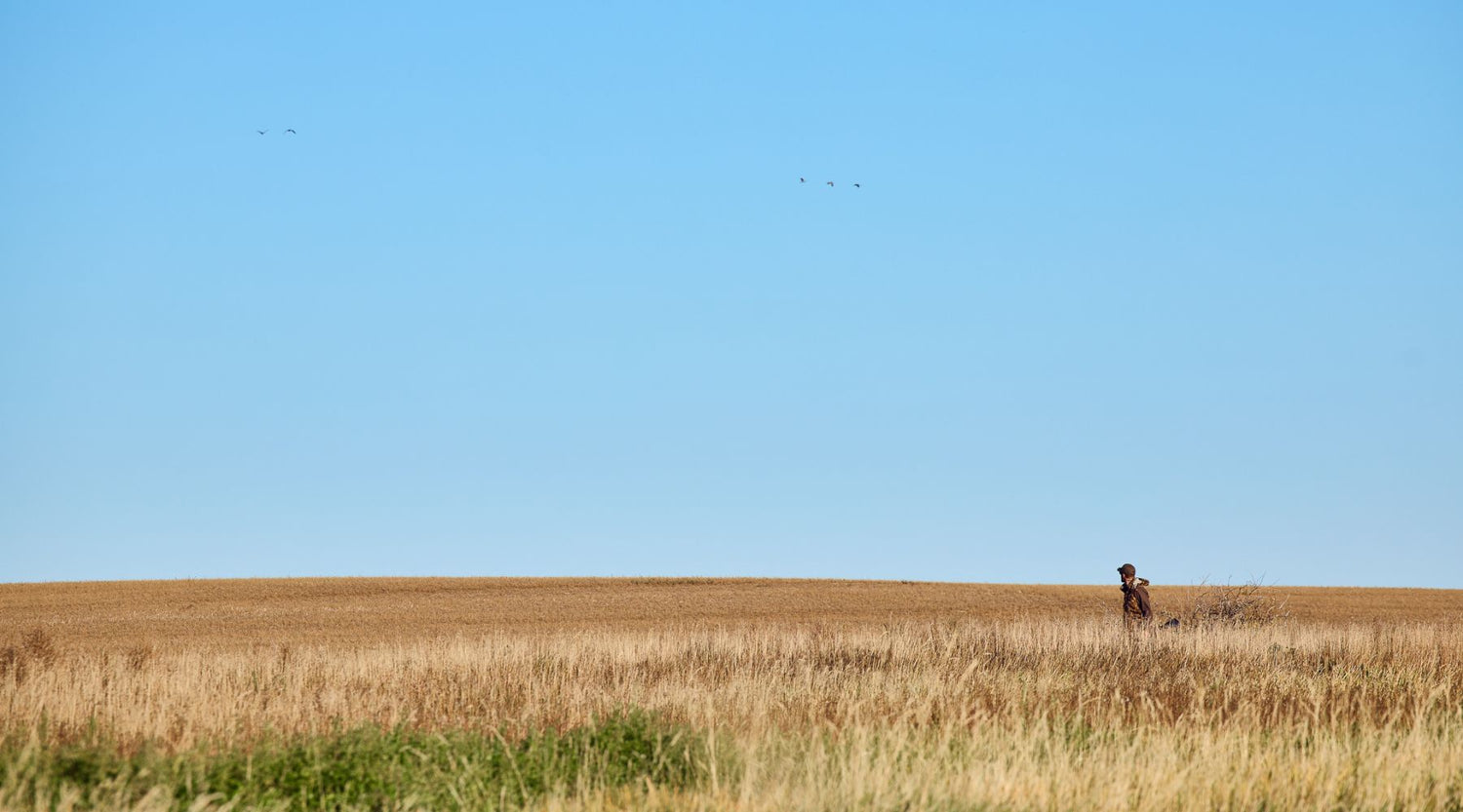 Spoiled by Surprise, Surprised by Spoils