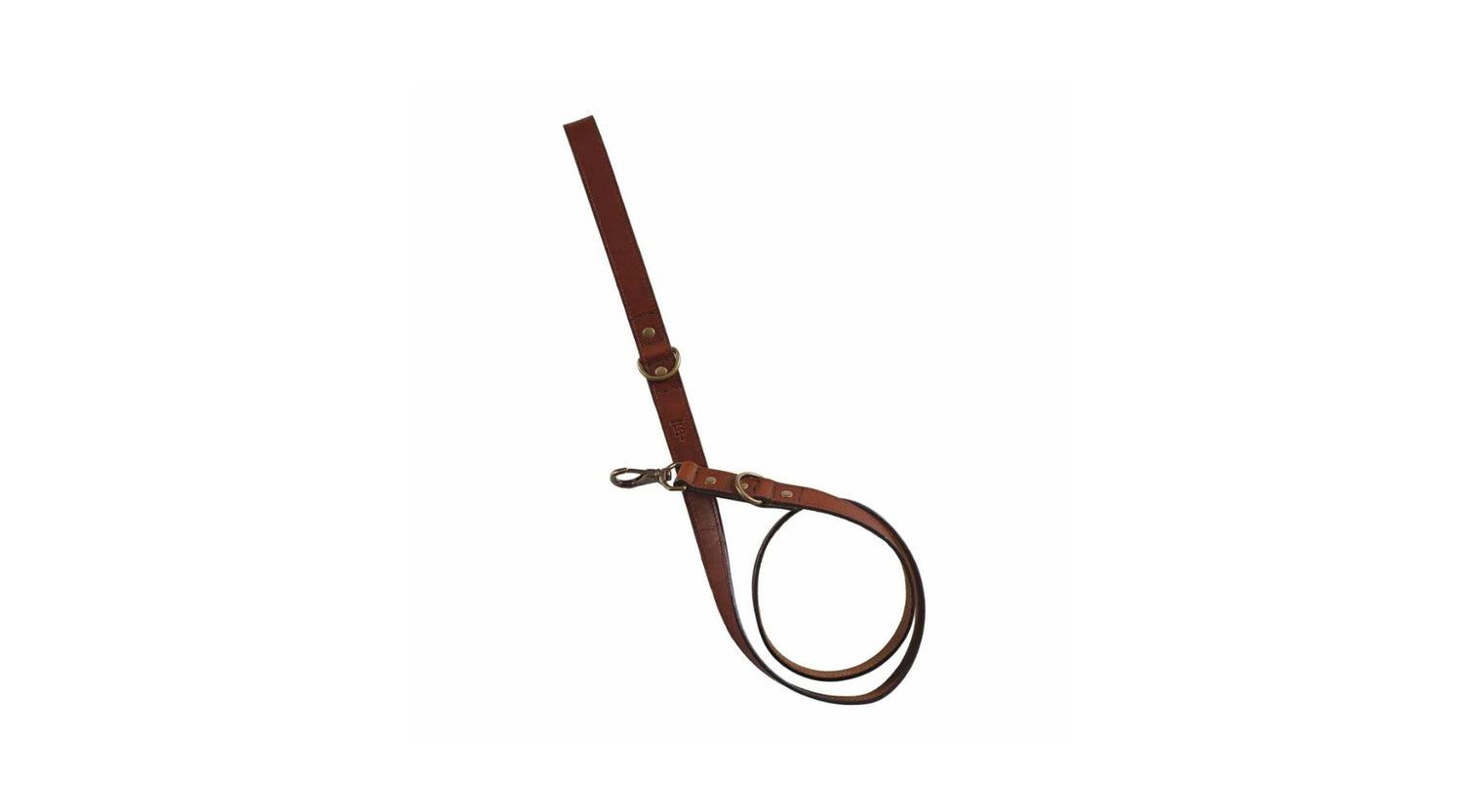 Field & Stream: Our Favorite Gifts for Hunting Dog Owners and Their Best Friends