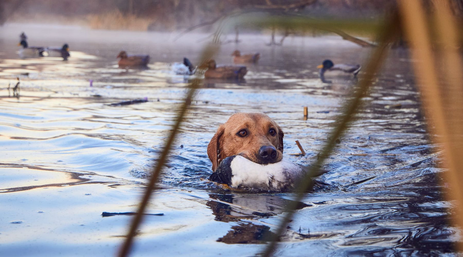 From the Editor in Chief: Treading Water