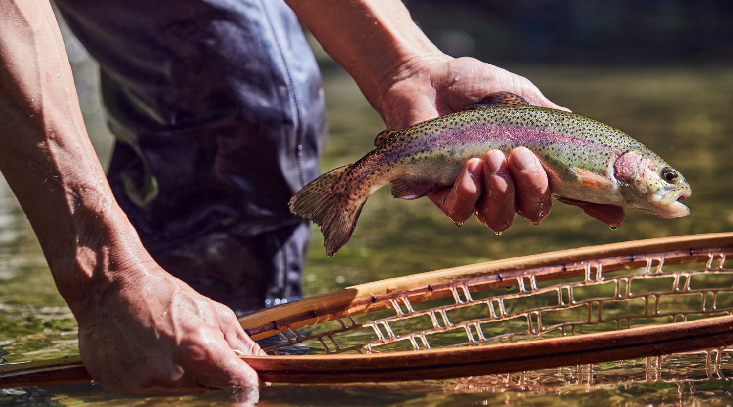 Stonewalls and Streams
