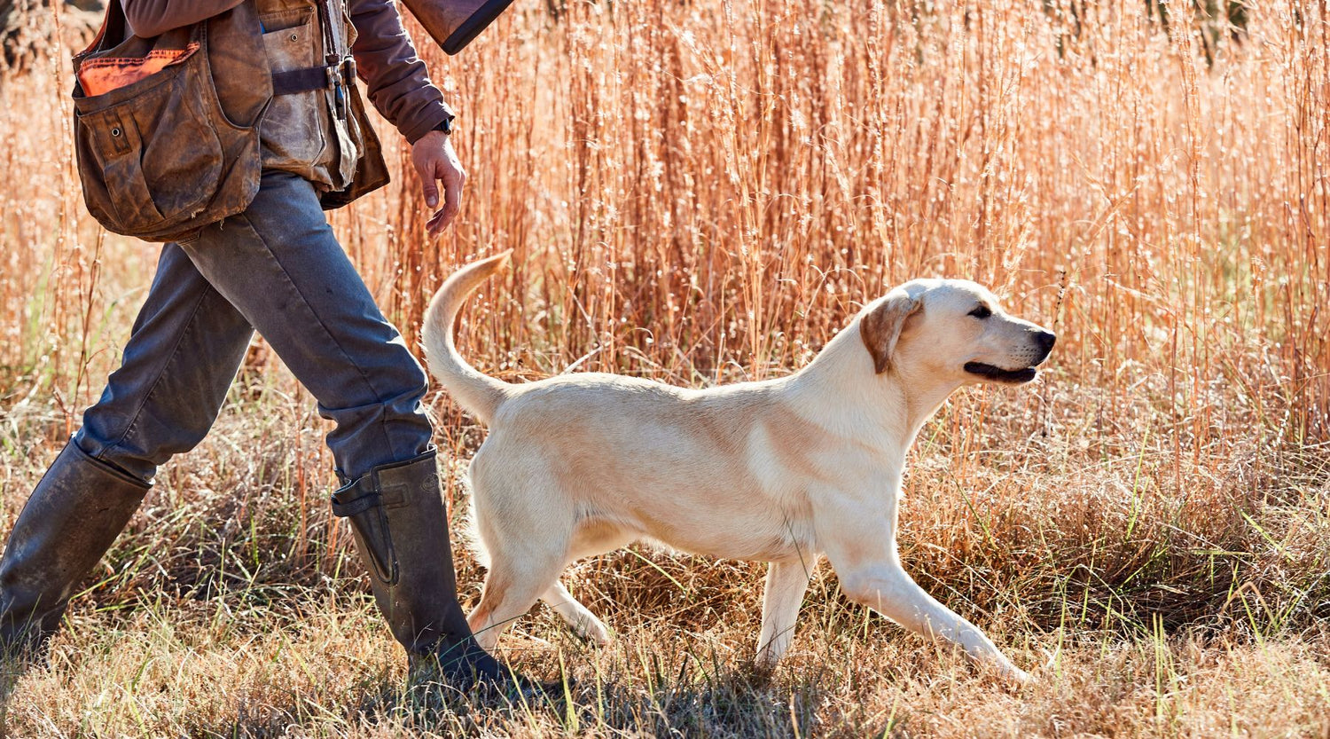 Training Traditions: A Sense of Place