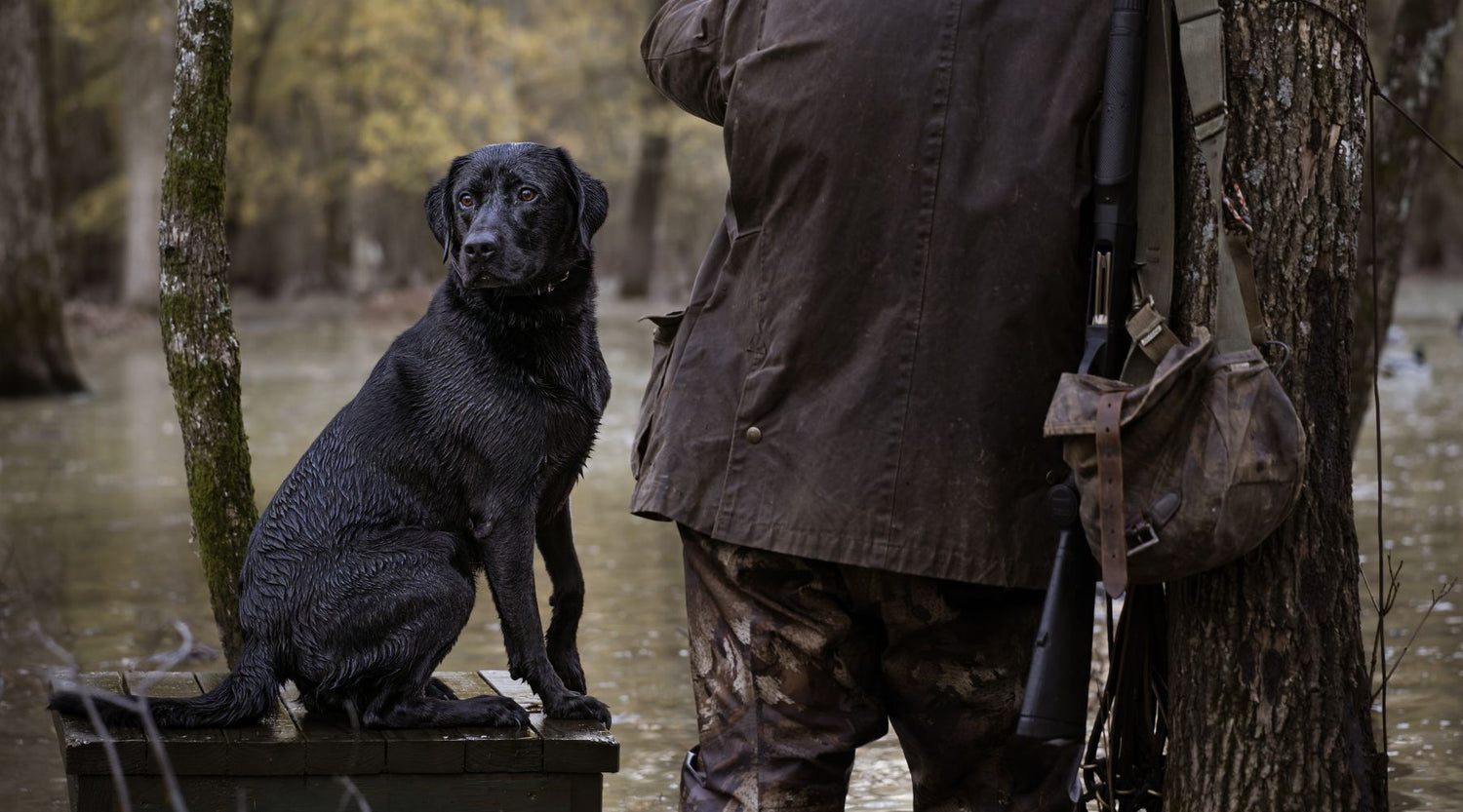 From the Editor in Chief: A Gracious Plenty