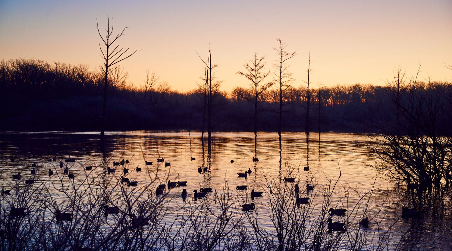 From the Editor in Chief: Crossing the Line