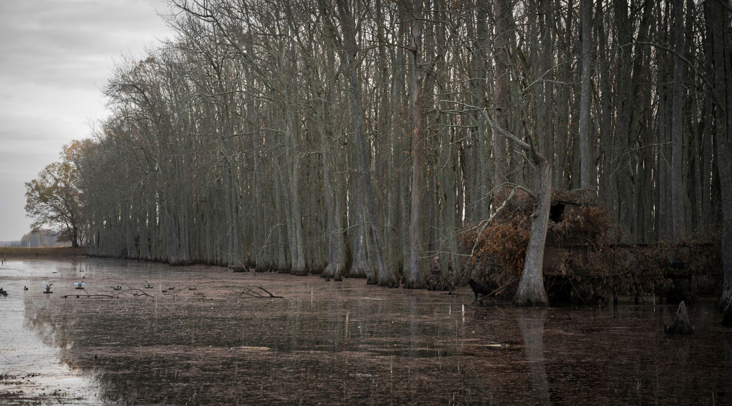 Hunting Ducks, Finding Bonds