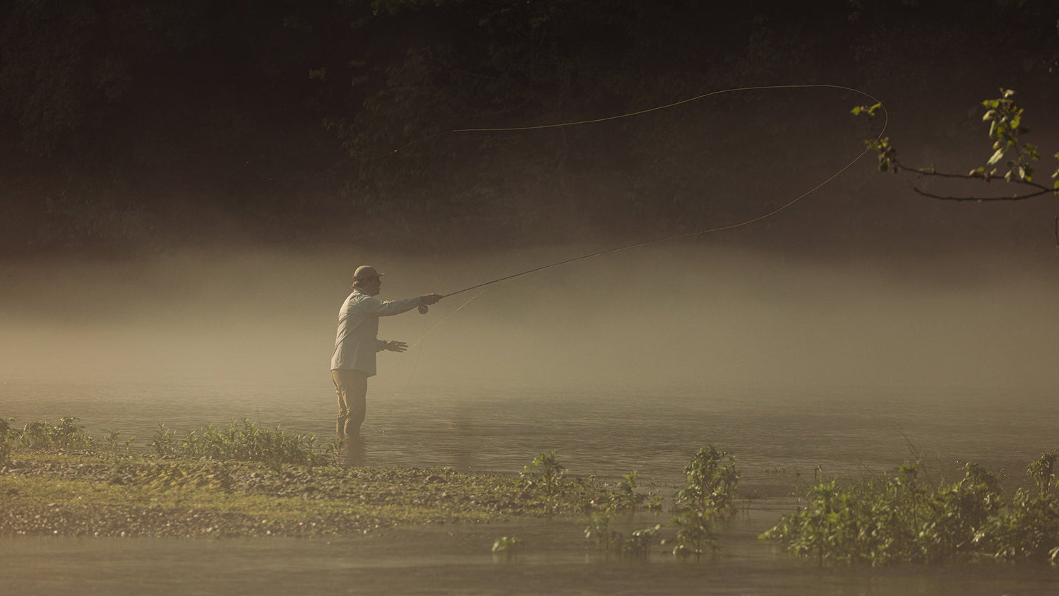 Topwater in the Thunderdome