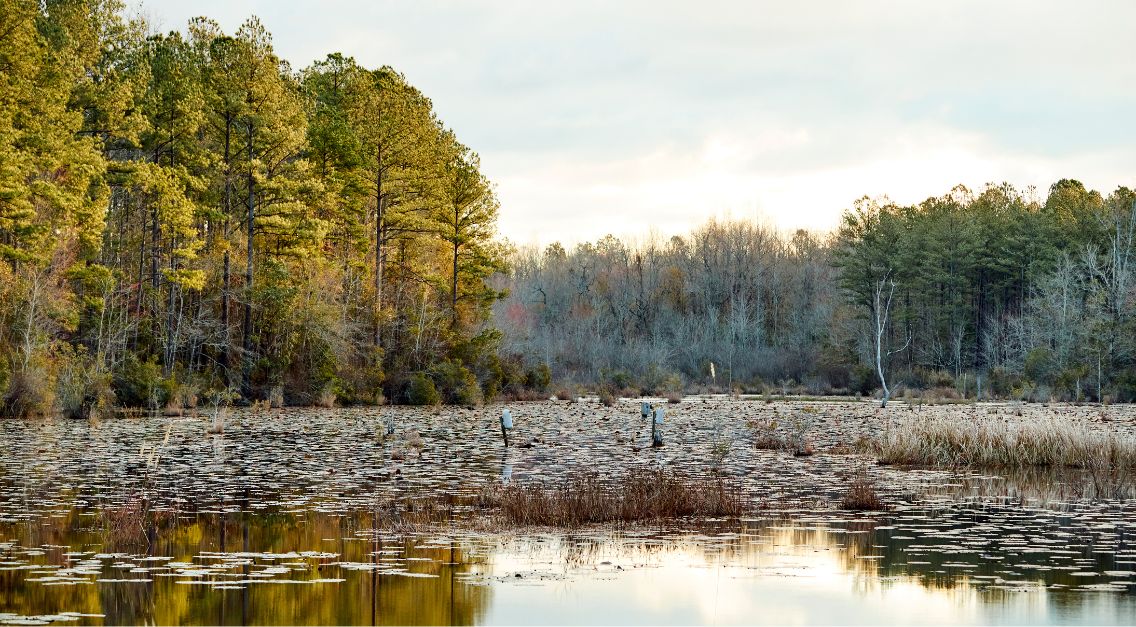 From the Editor in Chief: Catch and Release