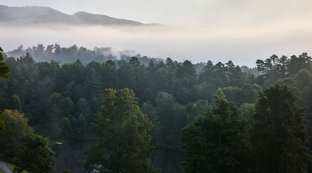 A hazy sunrise or sunset casts warm light over a forest with layers of trees and distant rolling hills under a yellow sky.