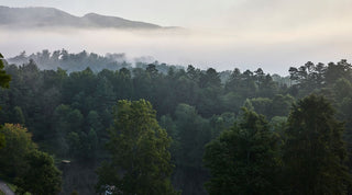 A hazy sunrise or sunset casts warm light over a forest with layers of trees and distant rolling hills under a yellow sky.
