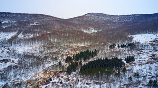 Aerial view of a snow-covered forest with a small building near the bottom left and a winding stream running through the trees.