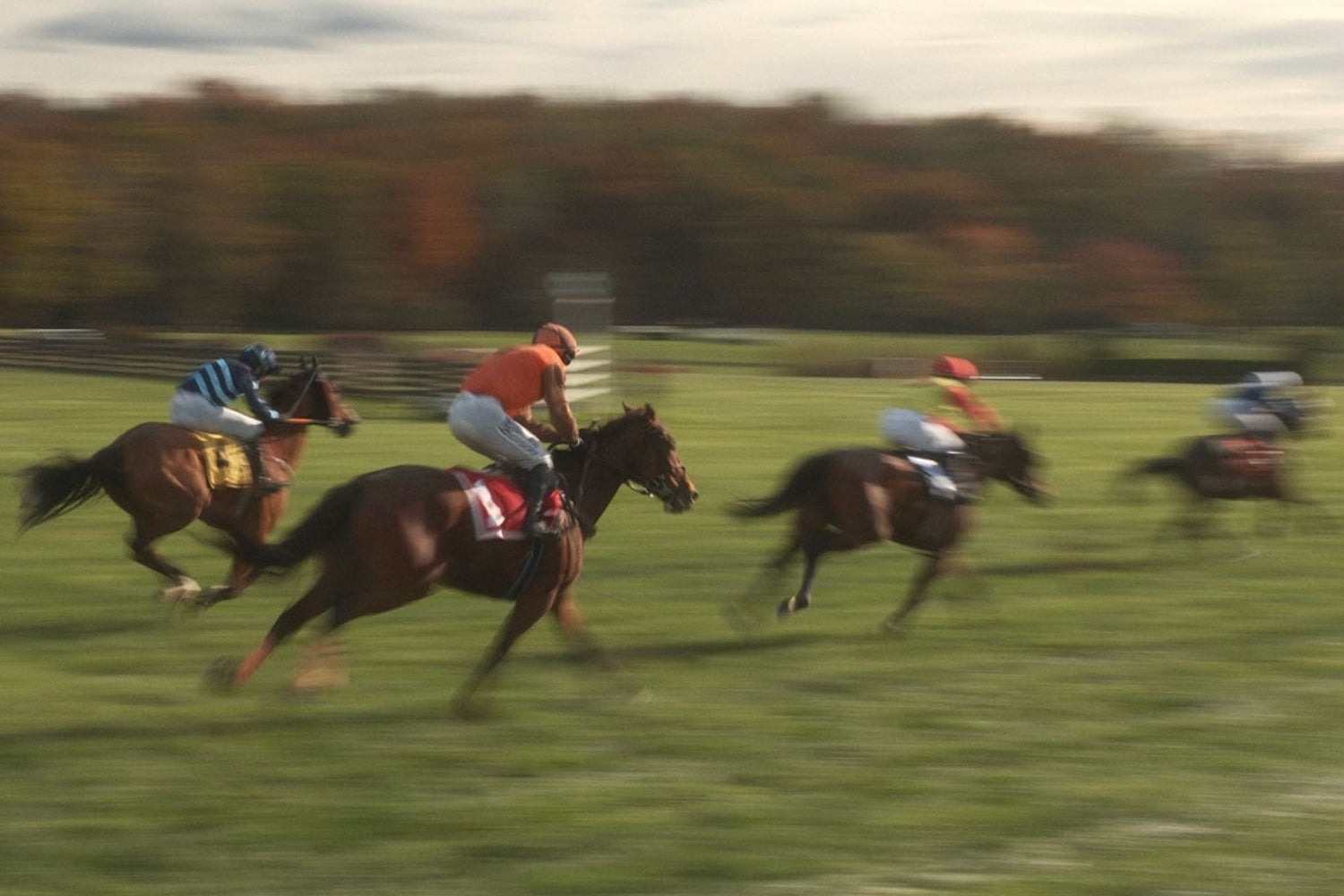Four jockeys riding horses race across a grassy field, with motion blur indicating speed; trees and sky are visible in the background.