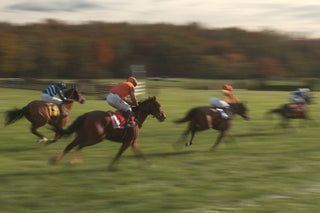Four jockeys riding horses race across a grassy field, with motion blur indicating speed; trees and sky are visible in the background.