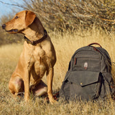 A dog sits next to a Tom Beckbe Canvas Backpack on dry grass, with leafless shrubs in the background.