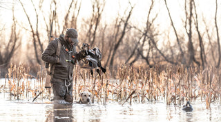 A hunter stands in a marsh holding ducks, with a retriever dog standing beside him in shallow water.