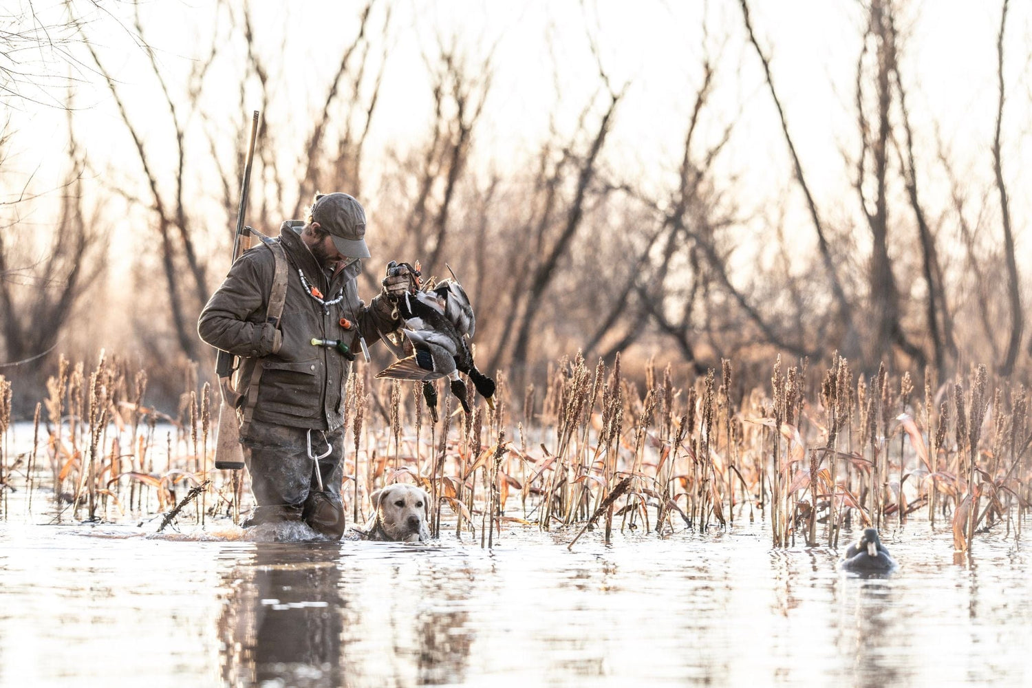 A person stands in shallow water holding a duck, with a dog beside them in a marshy, winter landscape.