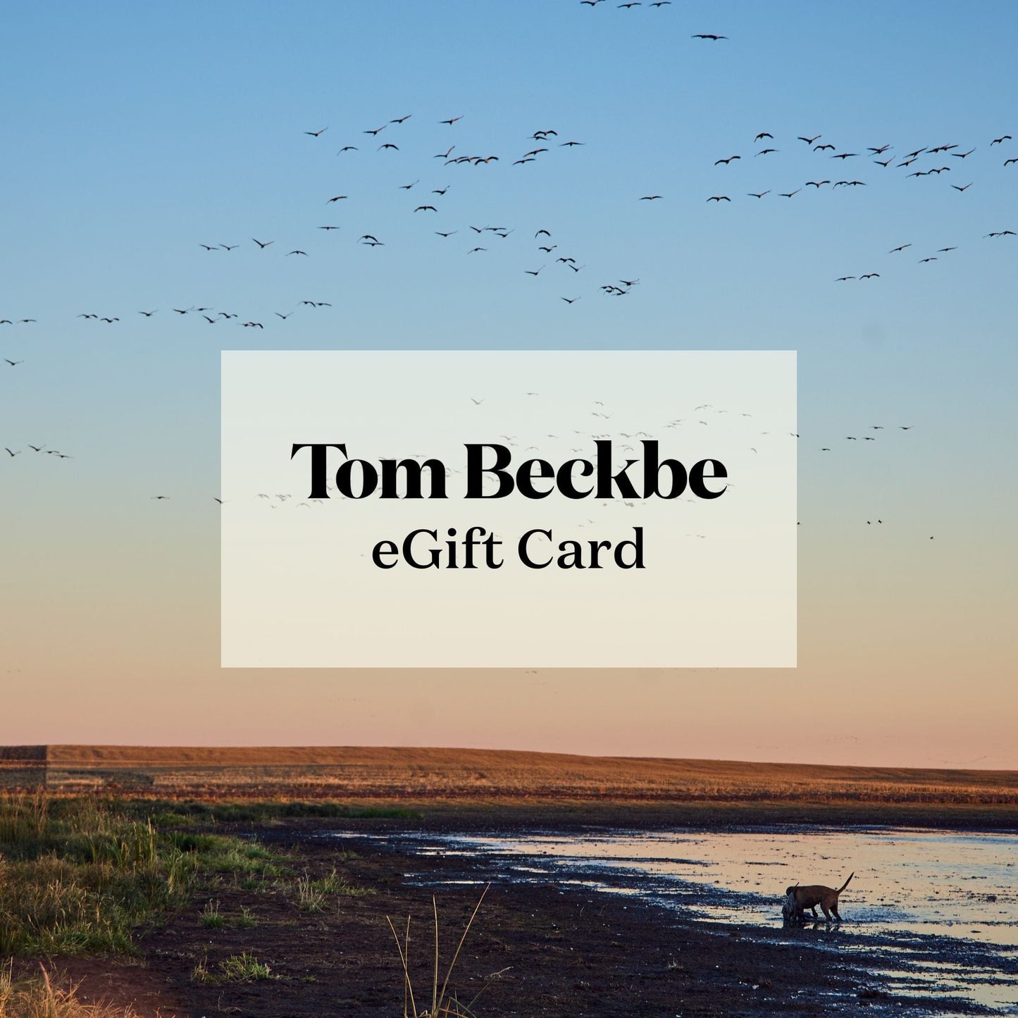 Giftnote eGift Card graphic features a dog by water and birds at sunset on a scenic landscape.