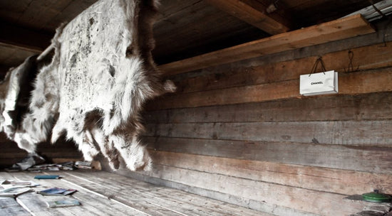 Fur rug hangs on wooden wall of rustic cabin interior; small Chanel bag is mounted on wall. Floor is scattered with papers.