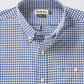 Blue Gingham